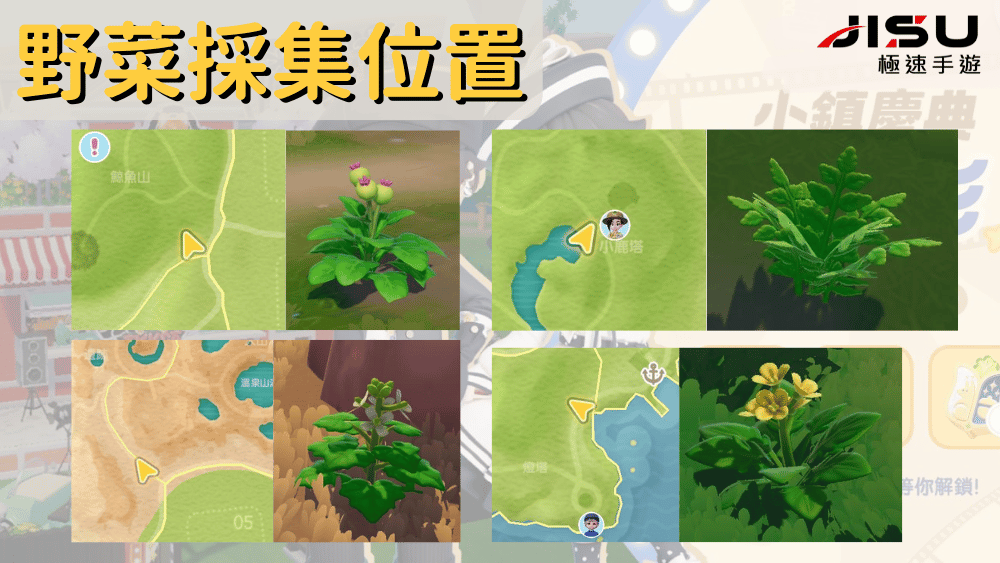 《心動小鎮》野菜採集位置